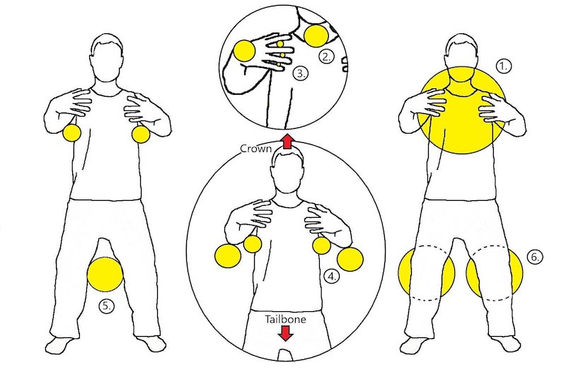 A basic diagram of Zhan Zhuang form